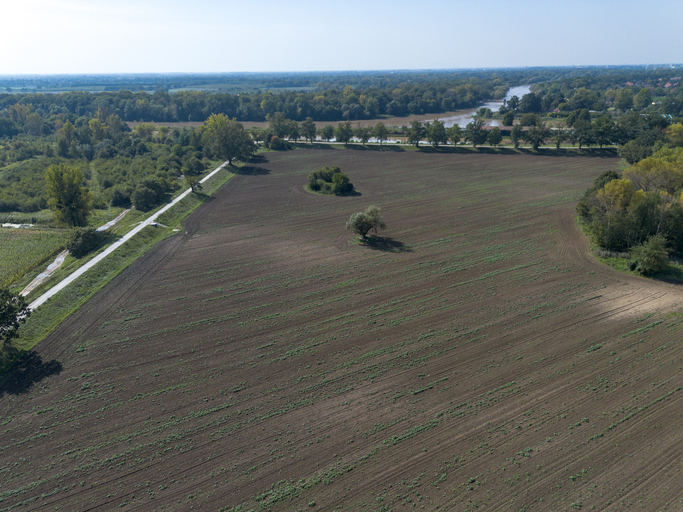 Tenanted agricultural land