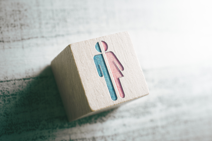 Gender Critical Beliefs in the Workplace