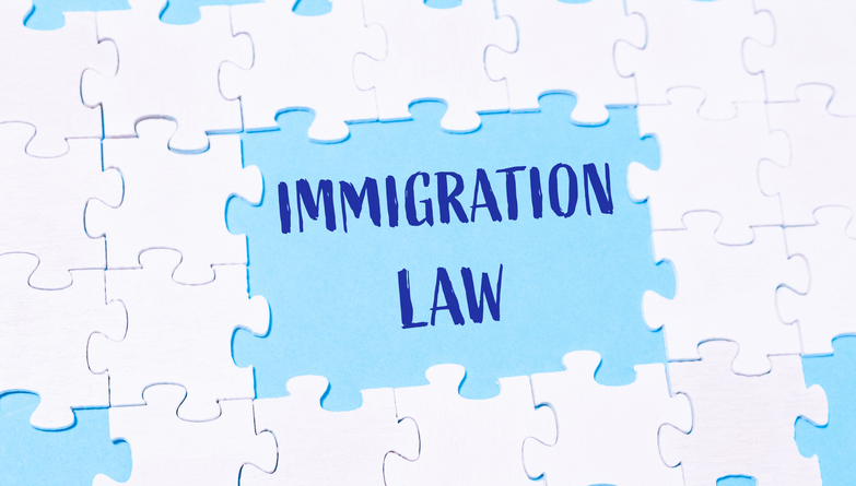 Immigration Update Webinar 2025