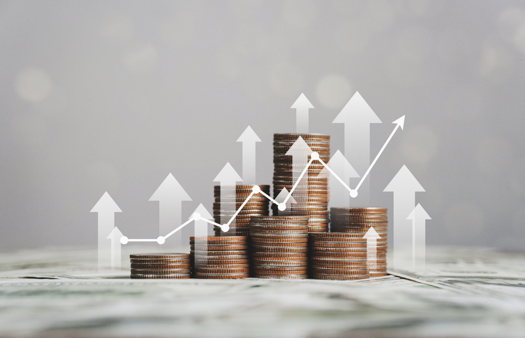 Hidden Assets in Complex Company Structures